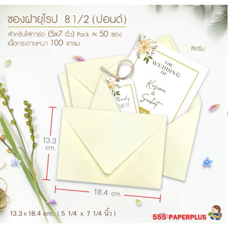 Envelope No.8 1/2 -TG E- Cream Code 27124
