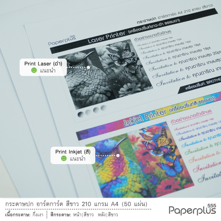 A4 Card Stock - AT - White - 210g. Code 15621