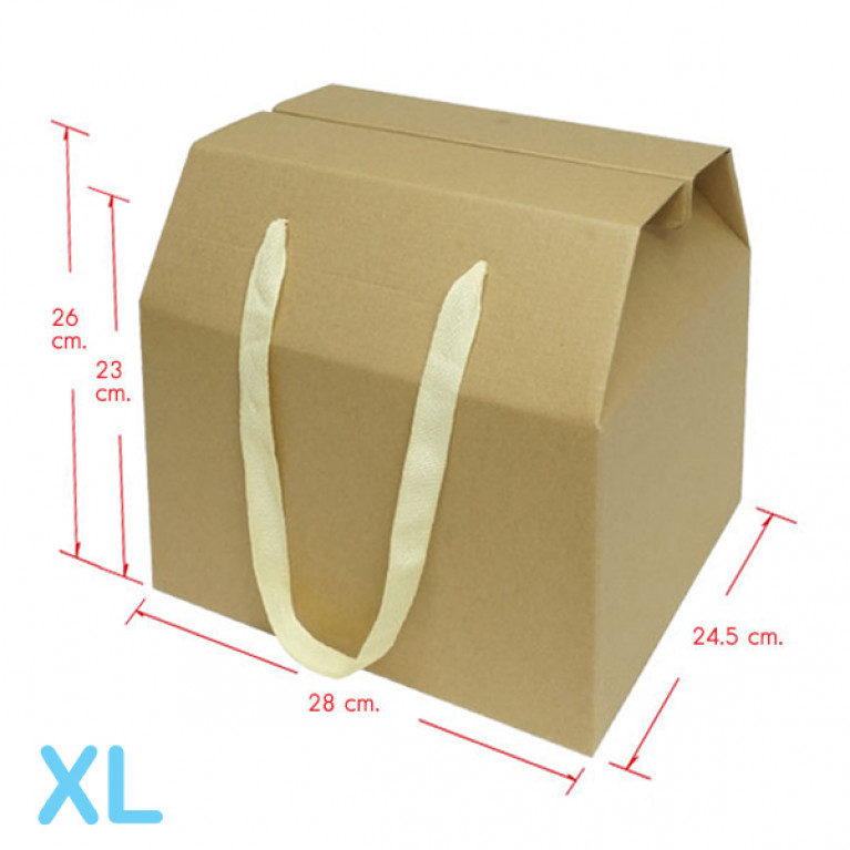 BG30-001 กล่องของขวัญพร้อมหูหิ้ว 28 x 23 x 24.5 ซม.