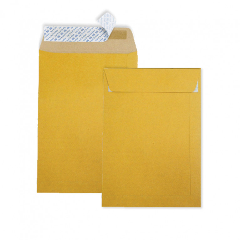 Peel & Seal Open End Envelope No.9 x 12 3/4 - KA - Brown Kraft (Bag) Code 00849