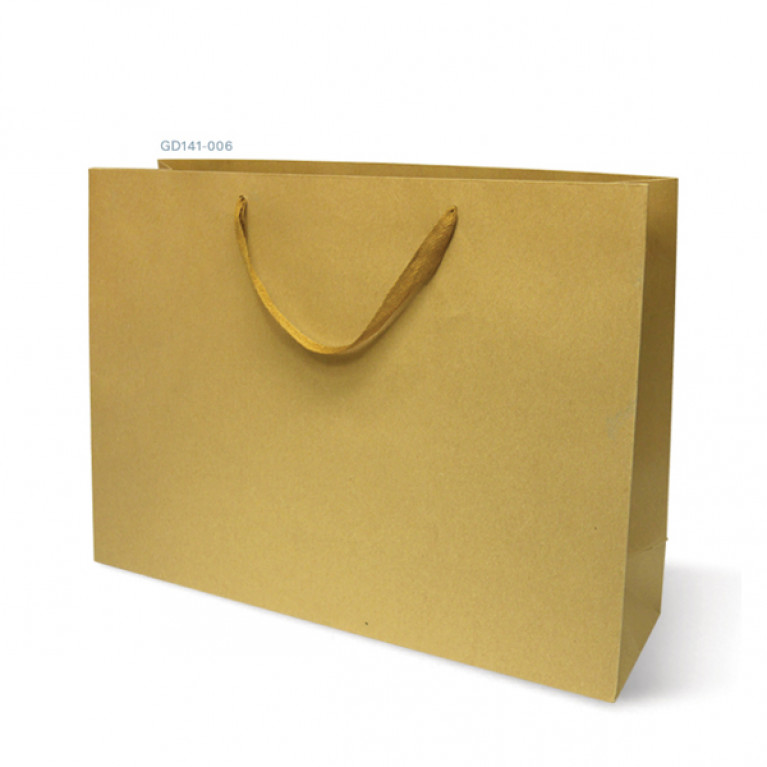 GD141-006 Paper Bag