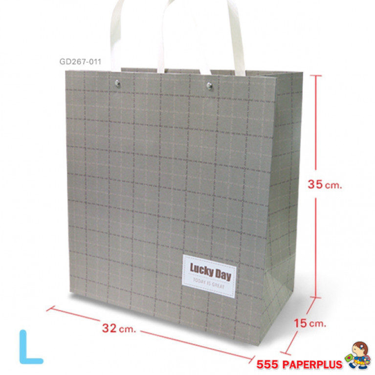 GD267-011 Paper Bag