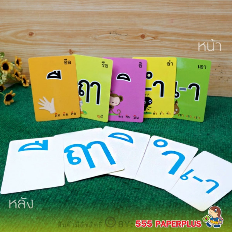 MP226-021 Learning Cards