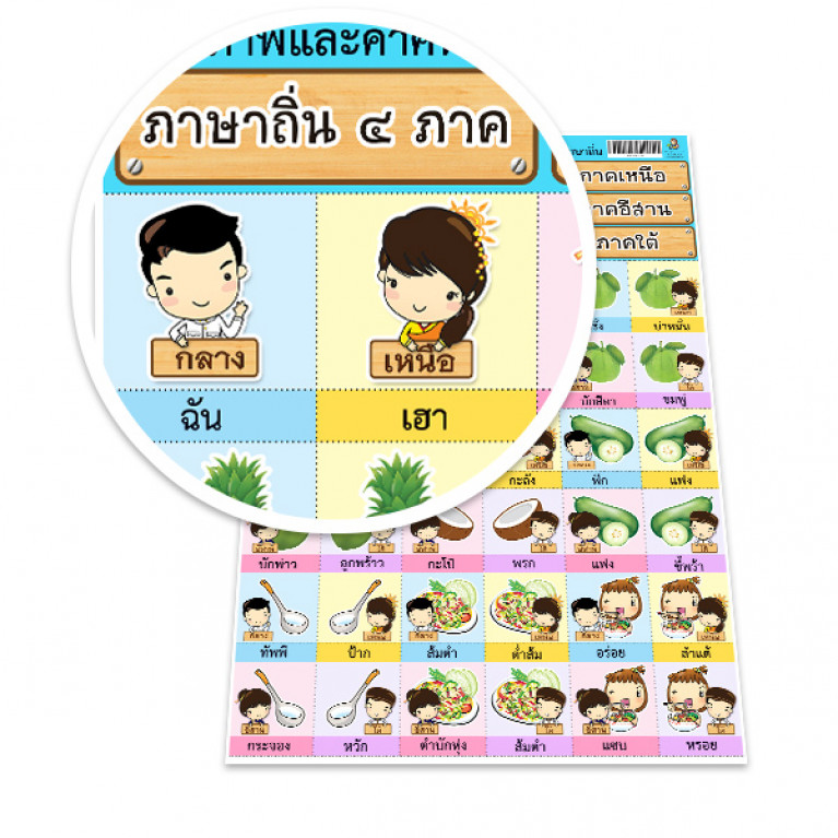 MP245-029 Learning Cards