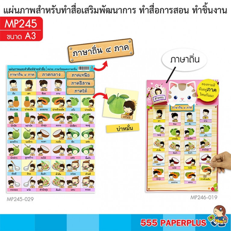 MP245-029 Learning Cards