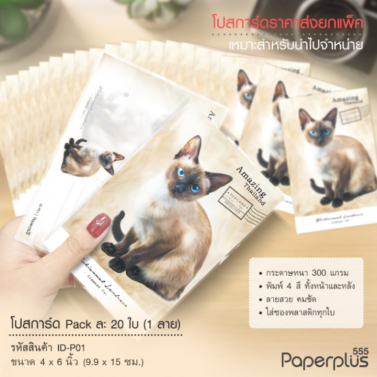 ID-P01 โปสการ์ด 4x6 นิ้ว ลายแมว (20ใบ) 