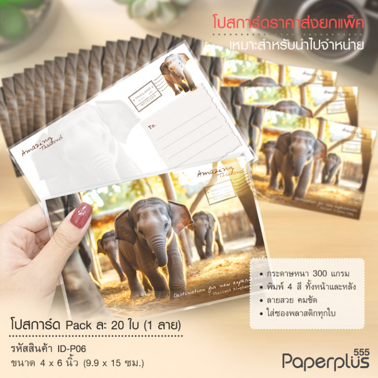 ID-P06 โปสการ์ด 4x6 นิ้ว ลายปางช้าง (20ใบ)