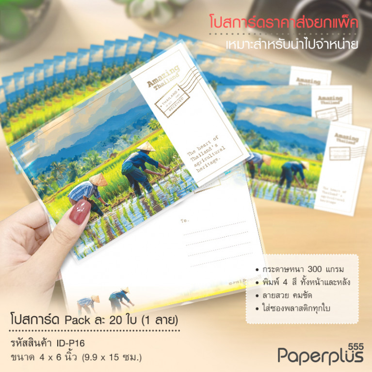 ID-P16 โปสการ์ด 4x6 นิ้ว ลายทำนา (20ใบ) 
