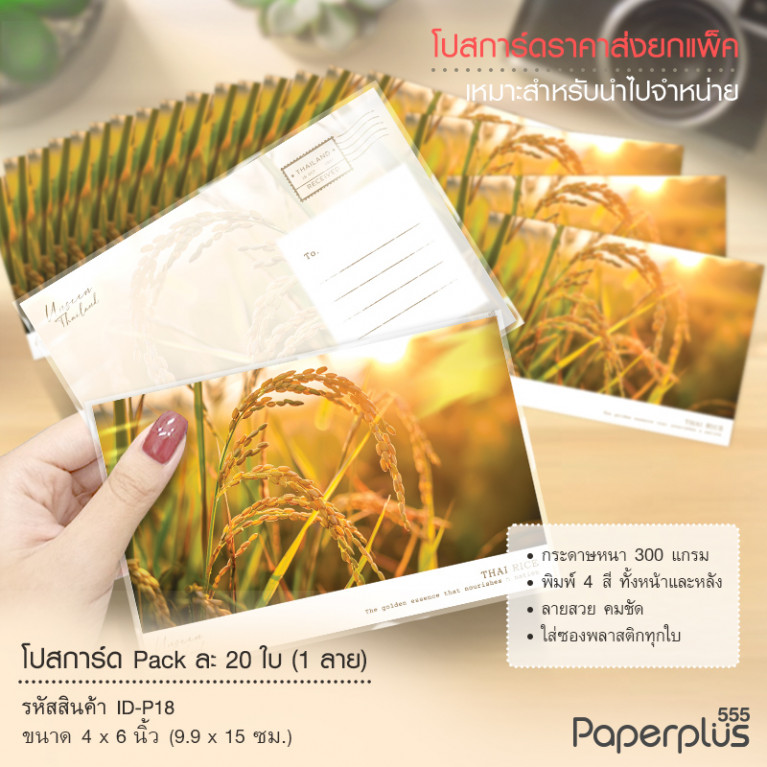 ID-P18 โปสการ์ด 4x6 นิ้ว ลายรวงข้าว (20ใบ) 
