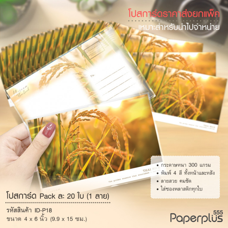 ID-P18 โปสการ์ด 4x6 นิ้ว ลายรวงข้าว (20ใบ) 