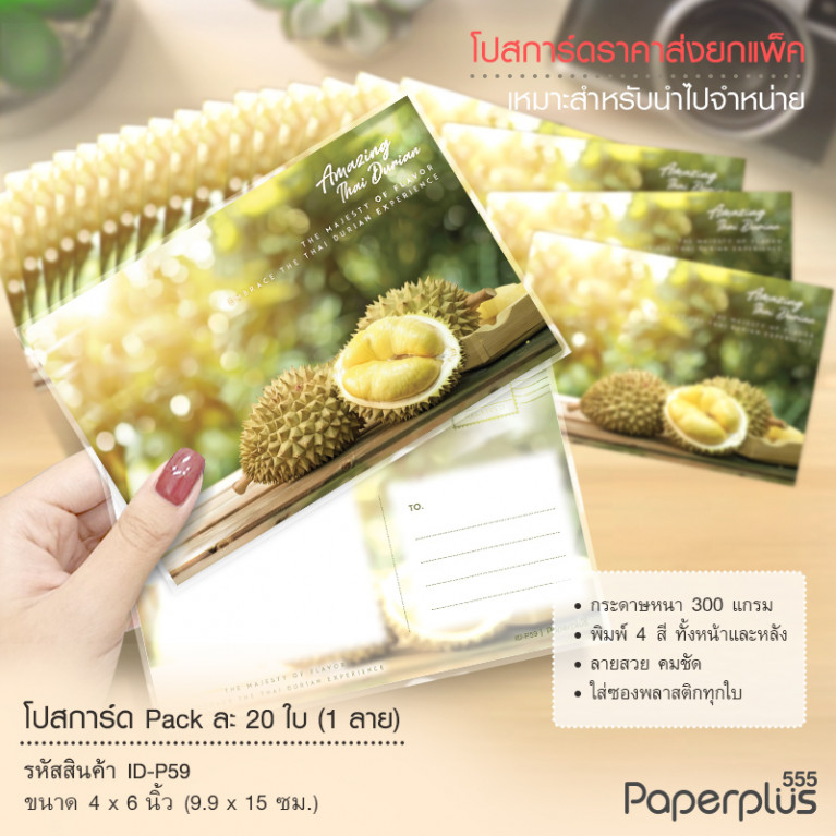 ID-P59 โปสการ์ด 4x6 นิ้ว ลายทุเรียน (20ใบ)