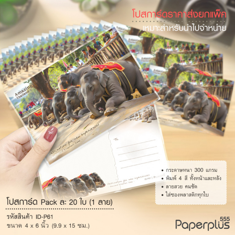 ID-P61 โปสการ์ด 4x6 นิ้ว ลายการแสดงช้าง (20ใบ)