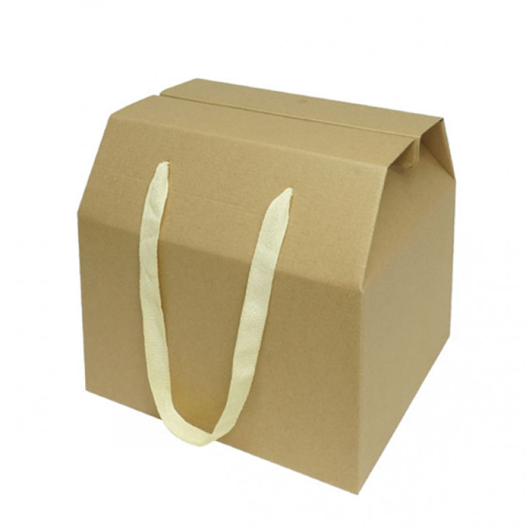 BG30-001 กล่องของขวัญพร้อมหูหิ้ว 28 x 23 x 24.5 ซม.