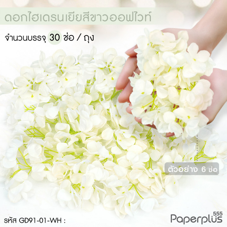 GD91-01-WH ดอกไม้ประดิษฐ์ตกแต่ง (ยกแพ็ค) ไฮเดรนเยีย สีขาวออฟไวท์ (30ช่อ)