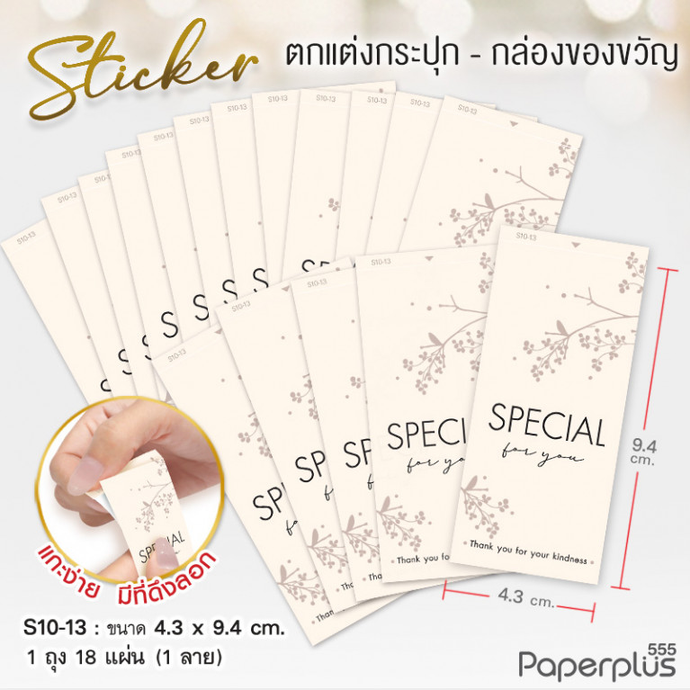 S10-GE-13 สติ๊กเกอร์ผืนผ้า 4.3x9.4cm. ครีม Special for you (18แผ่น)